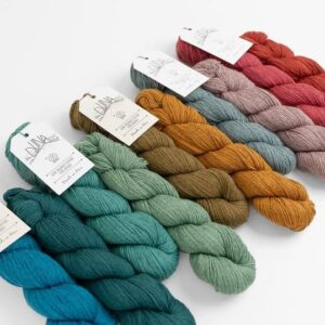 477416645 18444193717072738 3146039456033295674 n