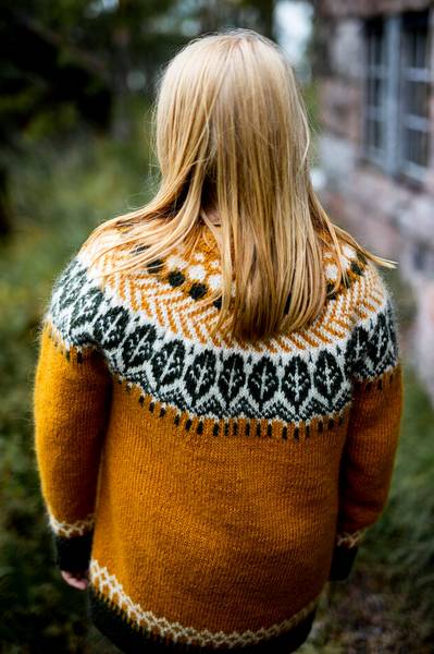 rudy sweter typu yoke z Icelandic Wool 100 welna islandzka woolloop